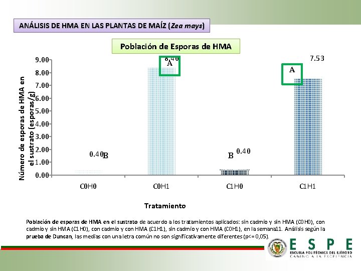 ANÁLISIS DE HMA EN LAS PLANTAS DE MAÍZ (Zea mays) Población de Esporas de