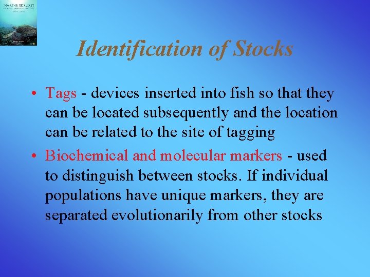 Identification of Stocks • Tags - devices inserted into fish so that they can