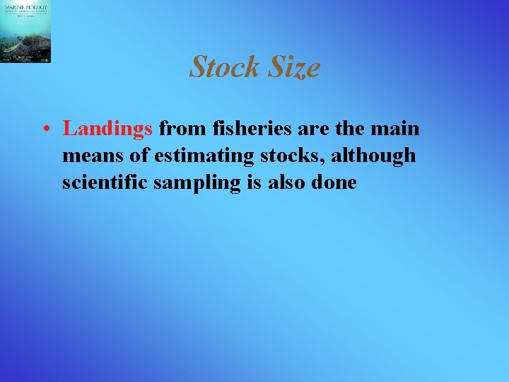 Stock Size • Landings from fisheries are the main means of estimating stocks, although