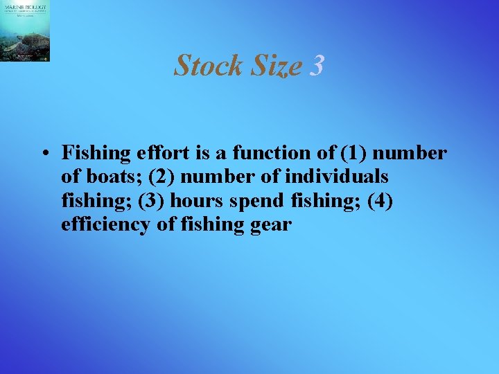 Stock Size 3 • Fishing effort is a function of (1) number of boats;