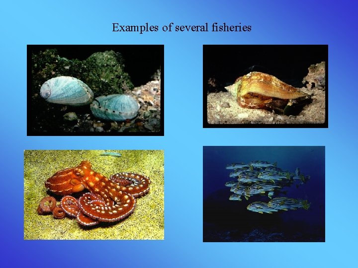 Examples of several fisheries 