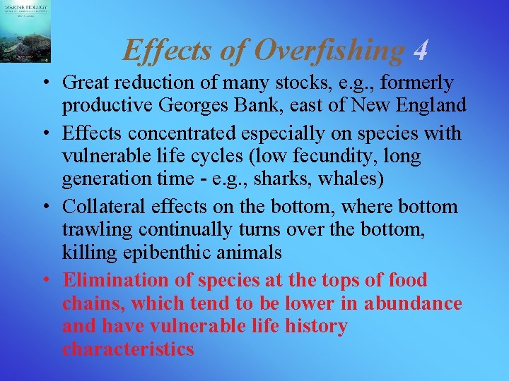 Effects of Overfishing 4 • Great reduction of many stocks, e. g. , formerly