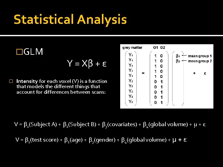 Statistical Analysis �GLM � Y = Xβ + ε Intensity for each voxel (V)