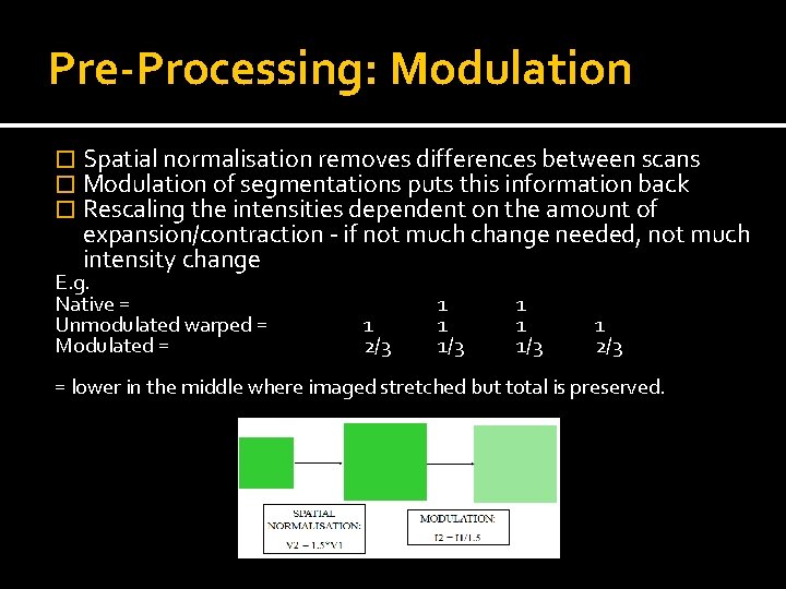 Pre-Processing: Modulation � Spatial normalisation removes differences between scans � Modulation of segmentations puts