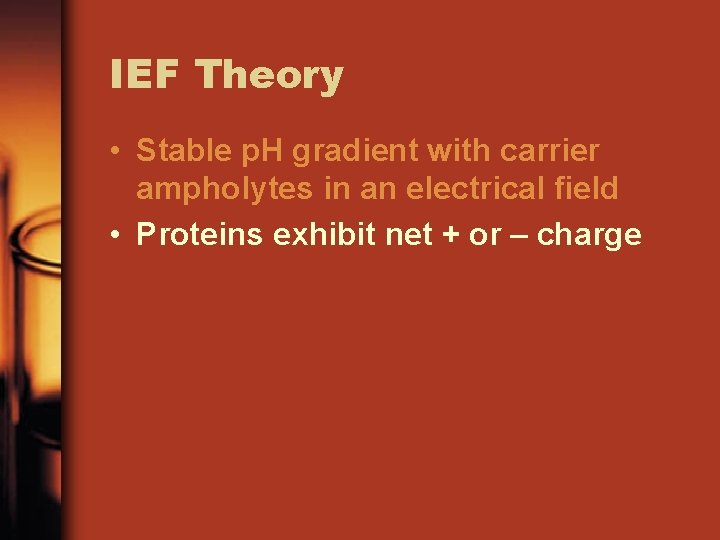 IEF Theory • Stable p. H gradient with carrier ampholytes in an electrical field