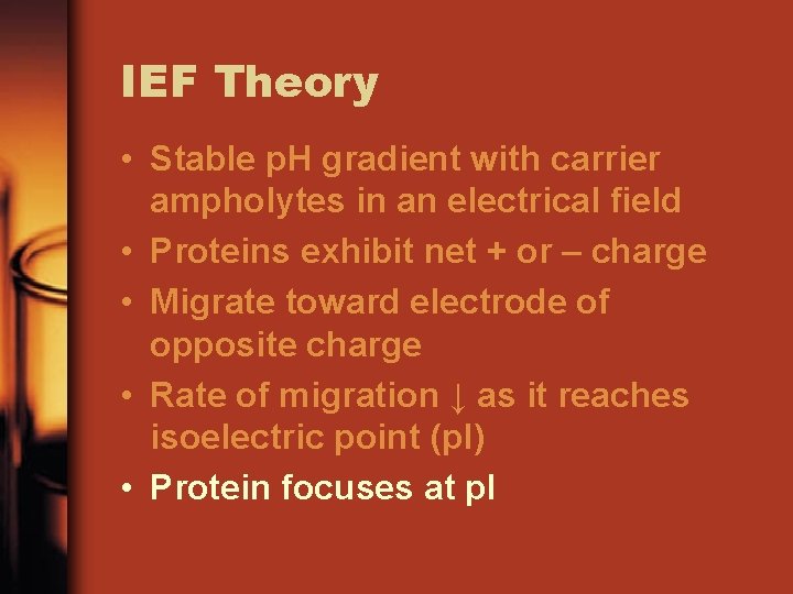 IEF Theory • Stable p. H gradient with carrier ampholytes in an electrical field