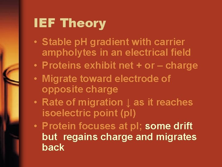 IEF Theory • Stable p. H gradient with carrier ampholytes in an electrical field