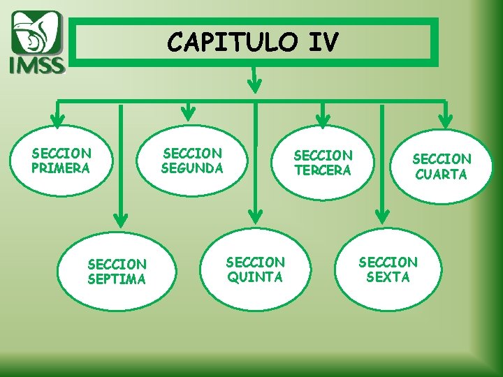 CAPITULO IV SECCION PRIMERA SECCION SEPTIMA SECCION SEGUNDA SECCION TERCERA SECCION QUINTA SECCION CUARTA