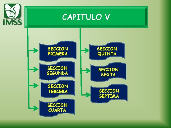 CAPITULO V SECCION PRIMERA SECCION SEGUNDA SECCION TERCERA SECCION CUARTA SECCION QUINTA SECCION SEXTA