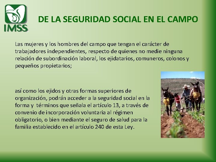 DE LA SEGURIDAD SOCIAL EN EL CAMPO Las mujeres y los hombres del campo