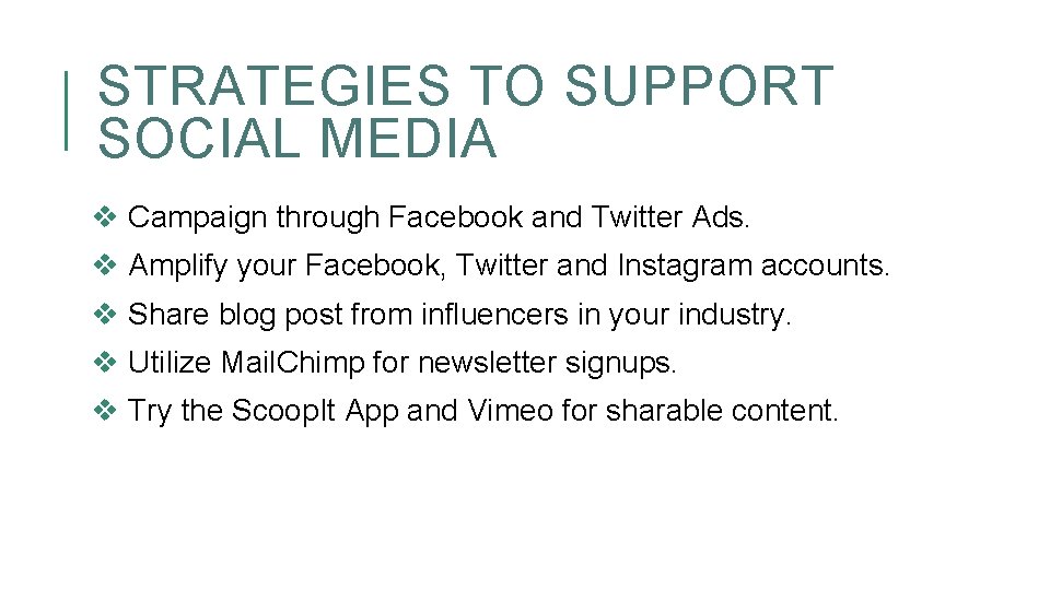 STRATEGIES TO SUPPORT SOCIAL MEDIA v Campaign through Facebook and Twitter Ads. v Amplify