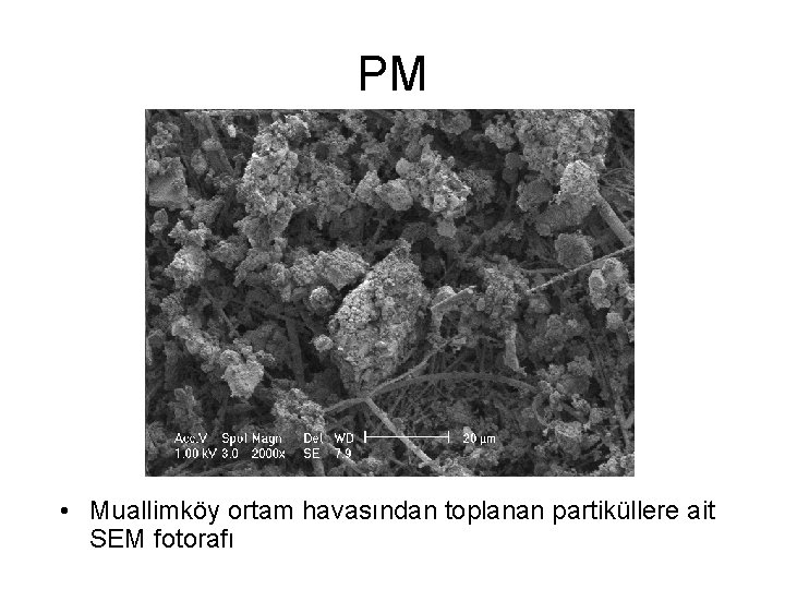 PM • Muallimköy ortam havasından toplanan partiküllere ait SEM fotorafı 