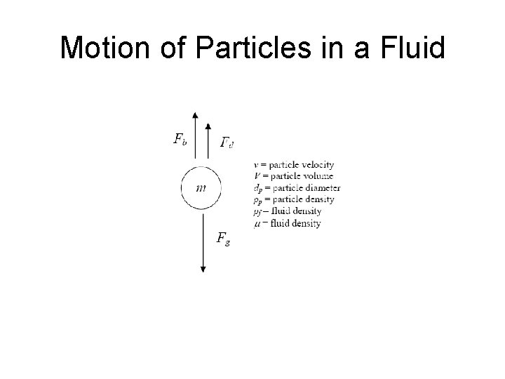 Motion of Particles in a Fluid 