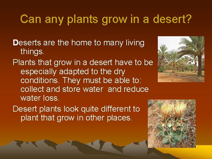 Can any plants grow in a desert? Deserts are the home to many living