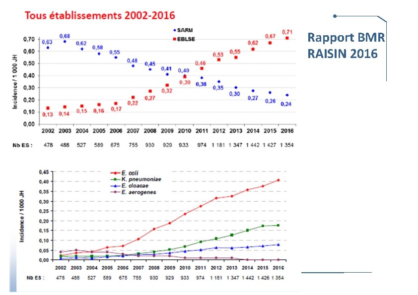 Rapport BMR RAISIN 2016 