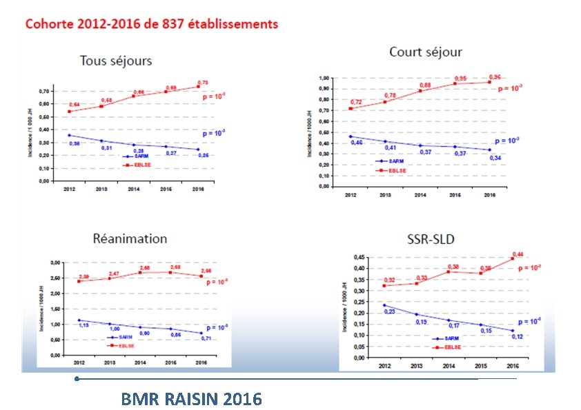  BMR RAISIN 2016 