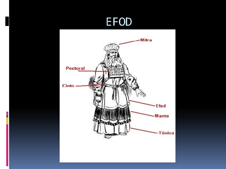 EFOD 