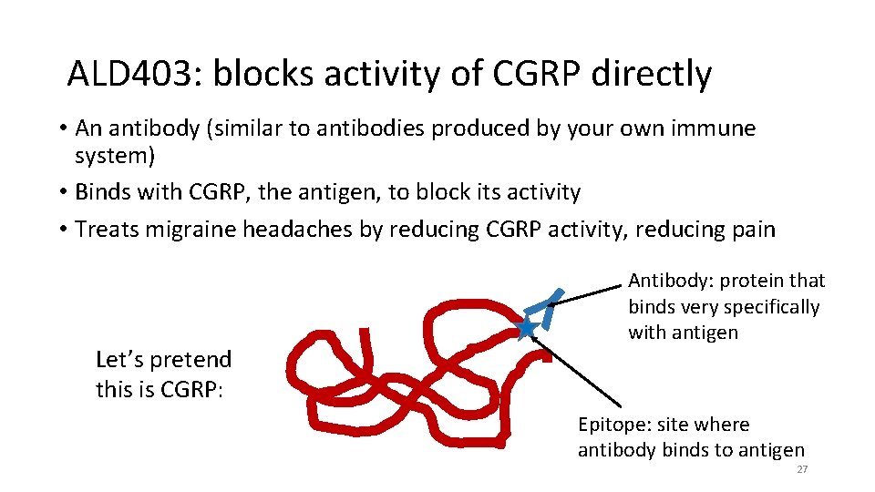 ALD 403: blocks activity of CGRP directly • An antibody (similar to antibodies produced