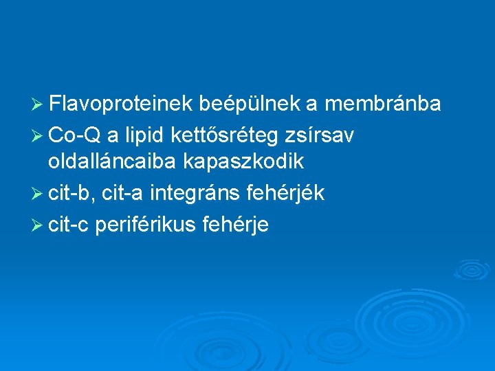 Ø Flavoproteinek beépülnek a membránba Ø Co-Q a lipid kettősréteg zsírsav oldalláncaiba kapaszkodik Ø