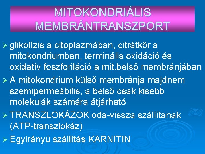 MITOKONDRIÁLIS MEMBRÁNTRANSZPORT Ø glikolízis a citoplazmában, citrátkör a mitokondriumban, terminális oxidáció és oxidatív foszforiláció