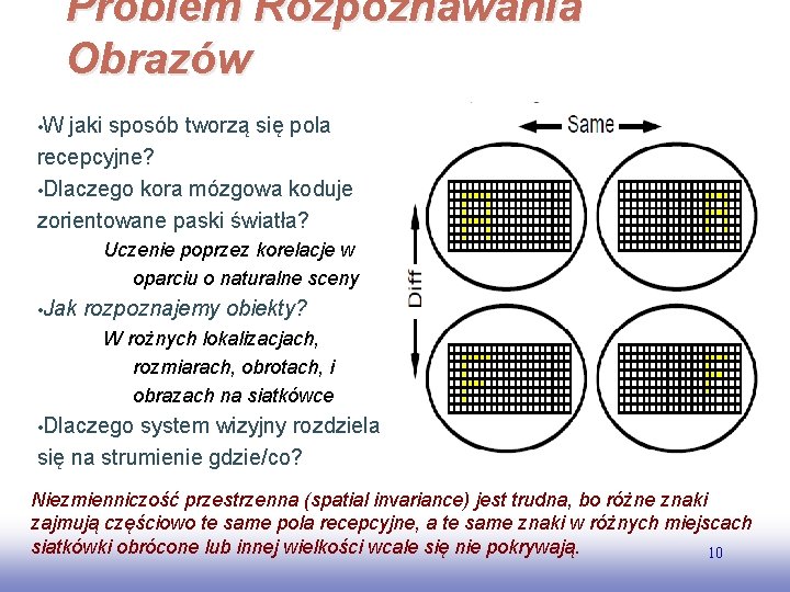 Problem Rozpoznawania Obrazów • W jaki sposób tworzą się pola recepcyjne? • Dlaczego kora