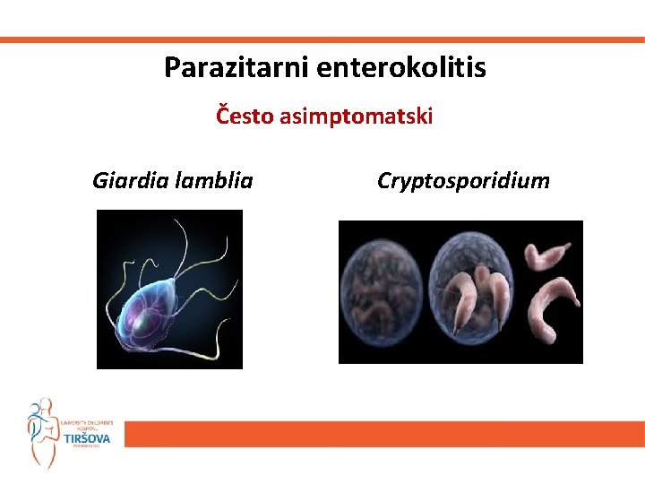 Parazitarni enterokolitis Često asimptomatski Giardia lamblia Cryptosporidium 