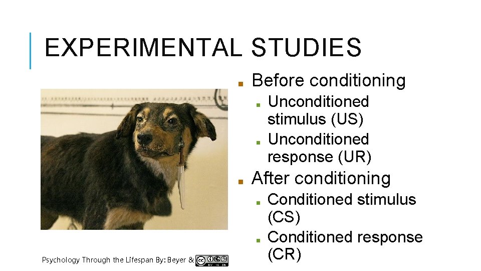 EXPERIMENTAL STUDIES ■ Before conditioning ■ ■ ■ After conditioning ■ ■ Psychology Through