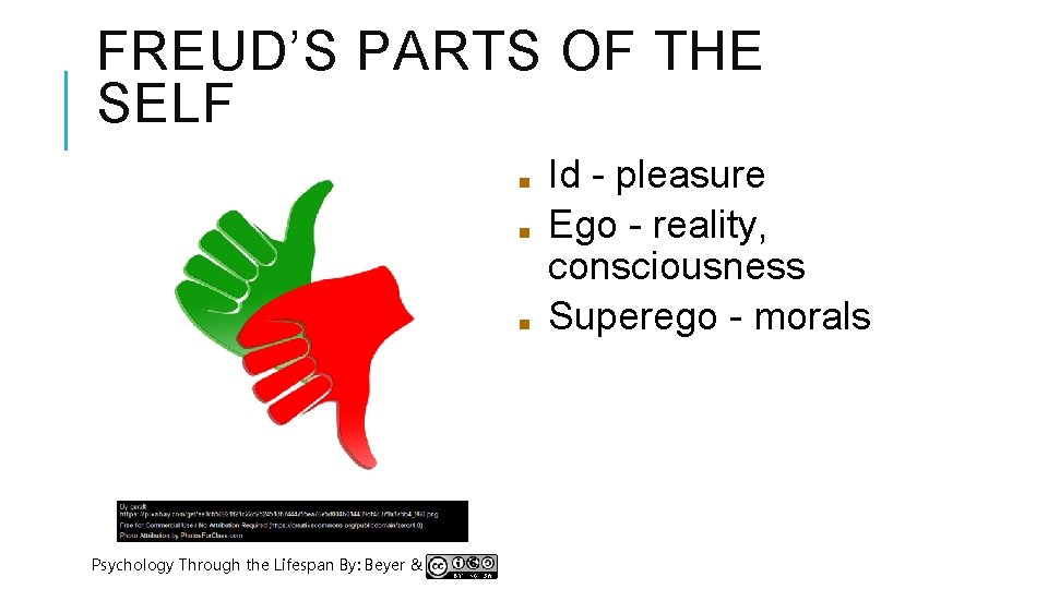 FREUD’S PARTS OF THE SELF ■ ■ ■ Psychology Through the Lifespan By: Beyer