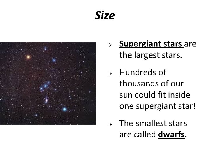 Size Ø Ø Ø Supergiant stars are the largest stars. Hundreds of thousands of