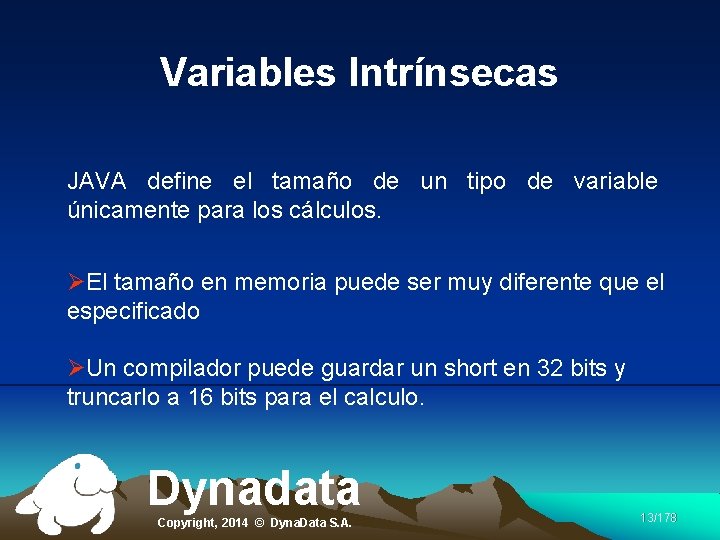 Variables Intrínsecas JAVA define el tamaño de un tipo de variable únicamente para los