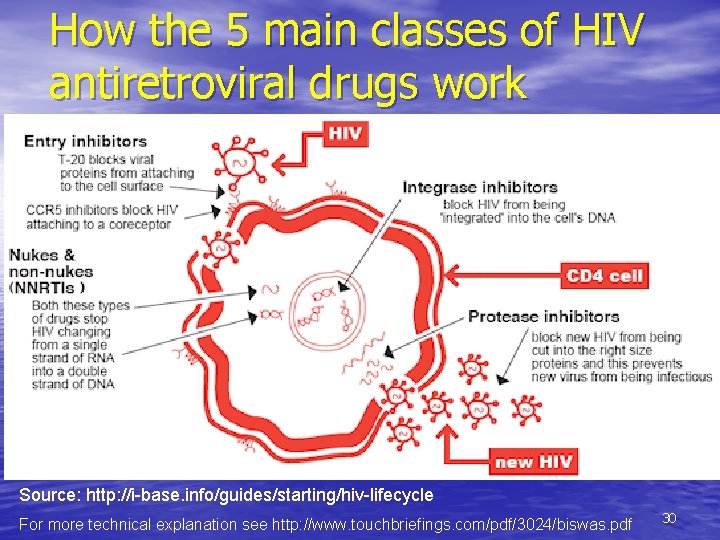 How the 5 main classes of HIV antiretroviral drugs work Source: http: //i-base. info/guides/starting/hiv-lifecycle
