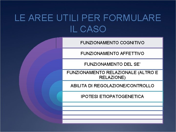 LE AREE UTILI PER FORMULARE IL CASO FUNZIONAMENTO COGNITIVO FUNZIONAMENTO AFFETTIVO FUNZIONAMENTO DEL SE’