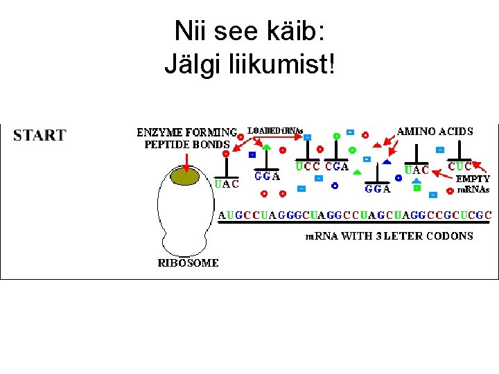 Nii see käib: Jälgi liikumist! Nii see käib: Jälgi liikumist!