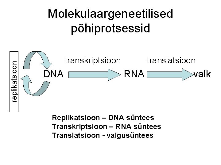 replikatsioon Molekulaargeneetilised põhiprotsessid transkriptsioon DNA translatsioon RNA Replikatsioon – DNA süntees Transkriptsioon – RNA replikatsioon Molekulaargeneetilised põhiprotsessid transkriptsioon DNA translatsioon RNA Replikatsioon – DNA süntees Transkriptsioon – RNA