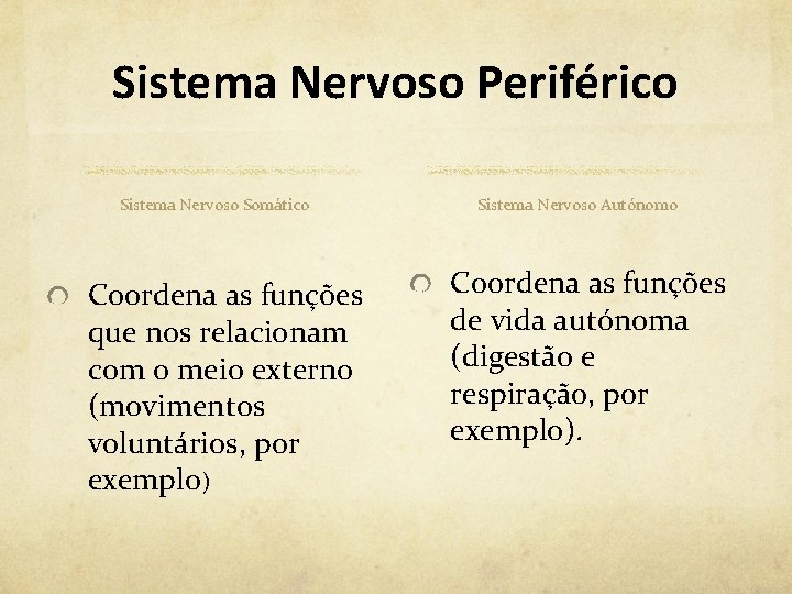 Sistema Nervoso Periférico Sistema Nervoso Somático Coordena as funções que nos relacionam com o