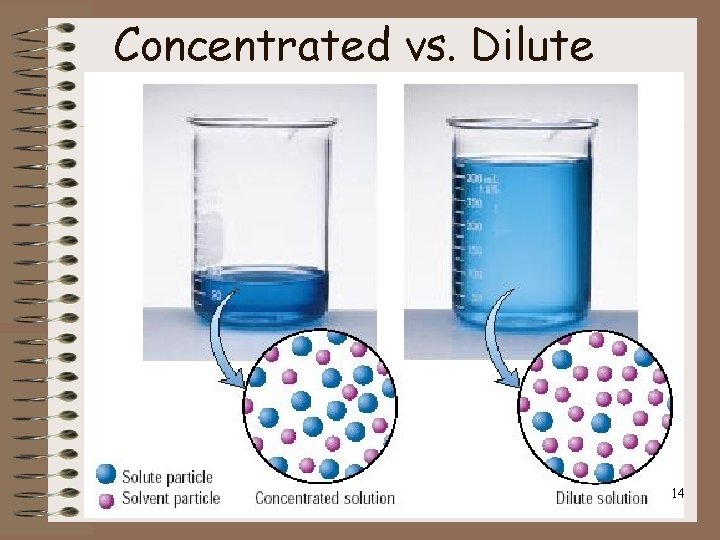 Concentrated vs. Dilute 14 