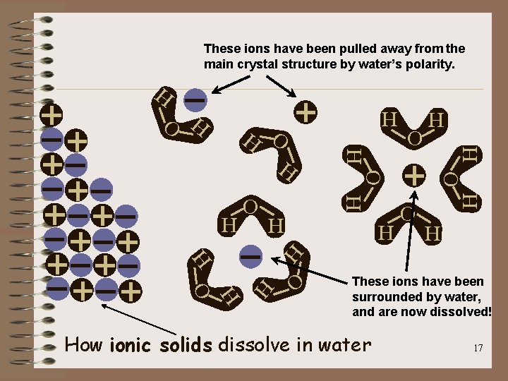 These ions have been pulled away from the main crystal structure by water’s polarity.