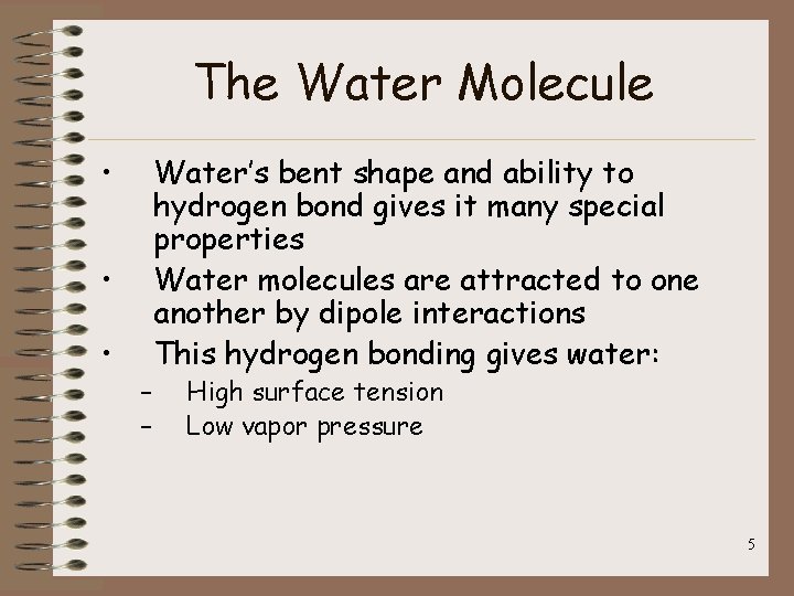 The Water Molecule • • • – – Water’s bent shape and ability to