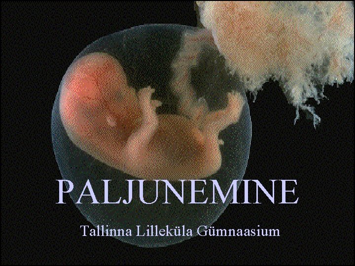 PALJUNEMINE Tallinna Lilleküla Gümnaasium 