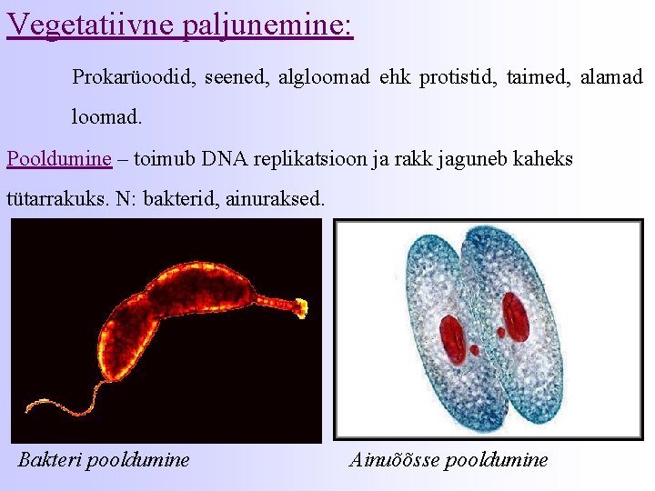 Vegetatiivne paljunemine: Prokarüoodid, seened, algloomad ehk protistid, taimed, alamad loomad. Pooldumine – toimub DNA