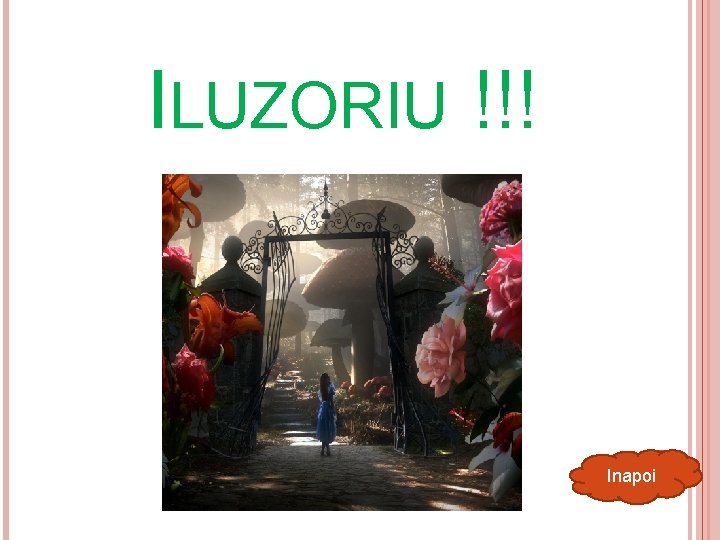 ILUZORIU !!! Inapoi 