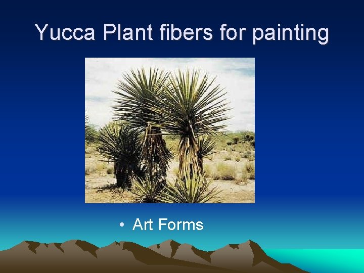 Yucca Plant fibers for painting • Art Forms 
