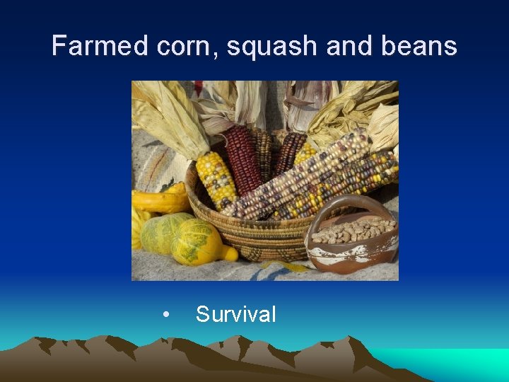 Farmed corn, squash and beans • Survival 