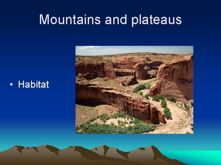 Mountains and plateaus • Habitat 