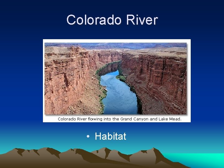 Colorado River • Habitat 