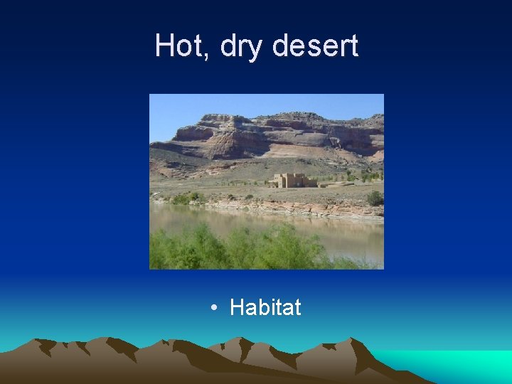 Hot, dry desert • Habitat 