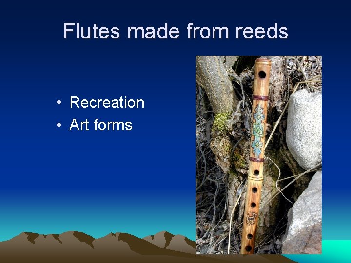 Flutes made from reeds • Recreation • Art forms 