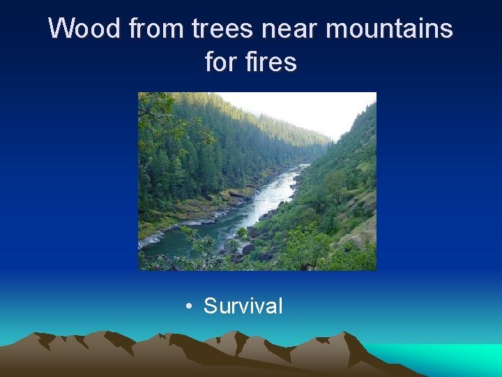 Wood from trees near mountains for fires • Survival 