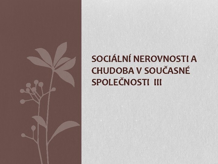 SOCIÁLNÍ NEROVNOSTI A CHUDOBA V SOUČASNÉ SPOLEČNOSTI III 