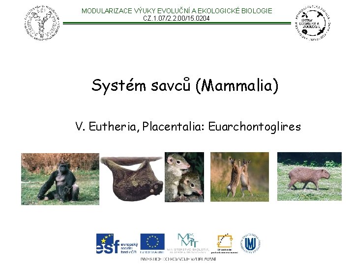 MODULARIZACE VÝUKY EVOLUČNÍ A EKOLOGICKÉ BIOLOGIE CZ. 1. 07/2. 2. 00/15. 0204 Systém savců